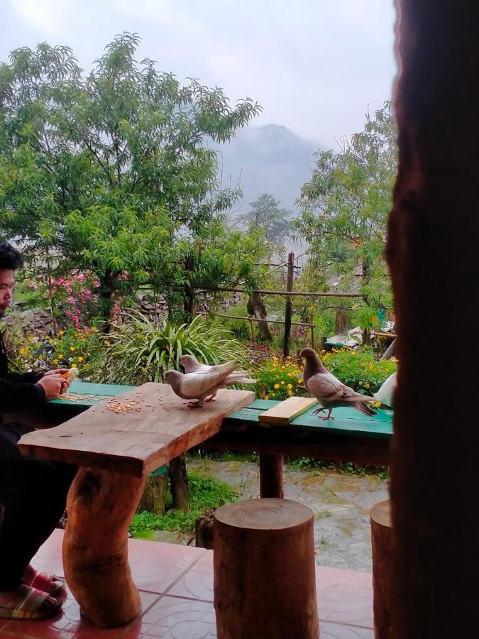 H'Mong Co Tran Sapa Homestay Exterior photo