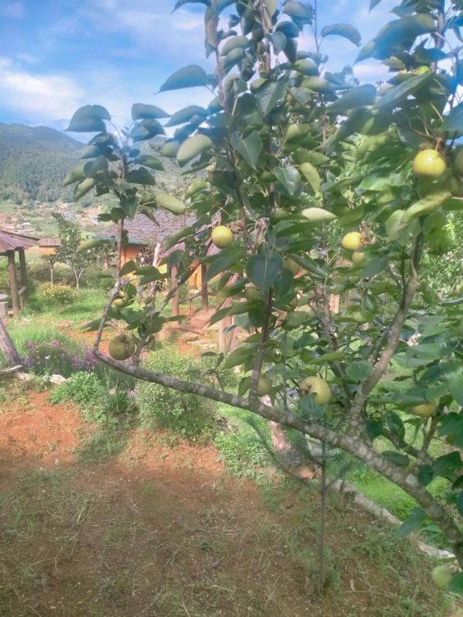 H'Mong Co Tran Sapa Homestay Exterior photo